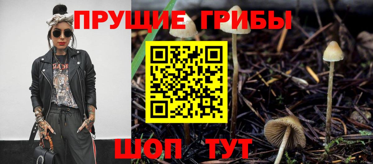 Галлюциногенные грибы ЛСД  Псилоцибиновые грибы Psilocybine cubensis  Вход с VPN  Дмитров 