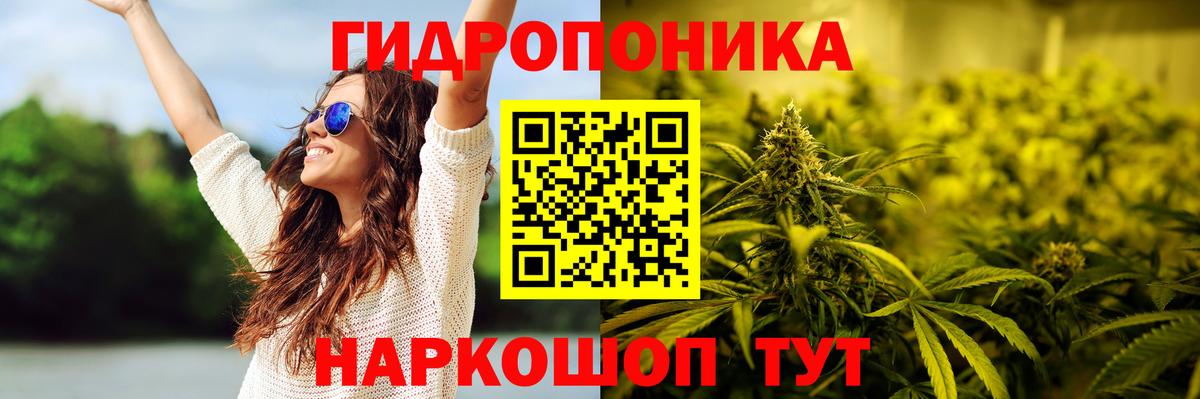 Бошки марихуана AK-47  Вход с VPN  Дмитров  Бошки Шишки White Widow  Марихуана Ganja 